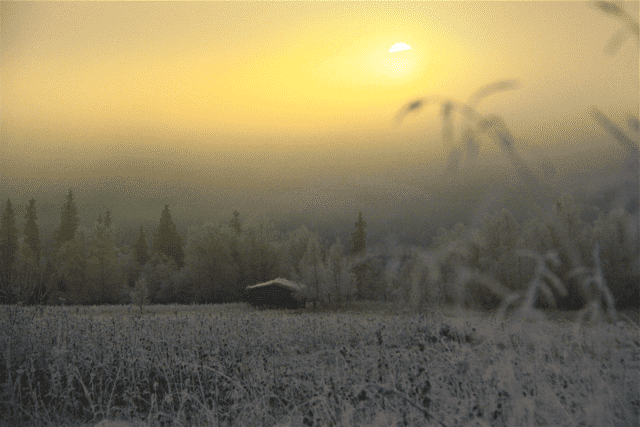IMG_7896.png