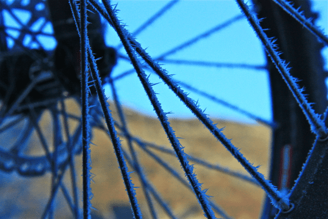 IMG_7907.png