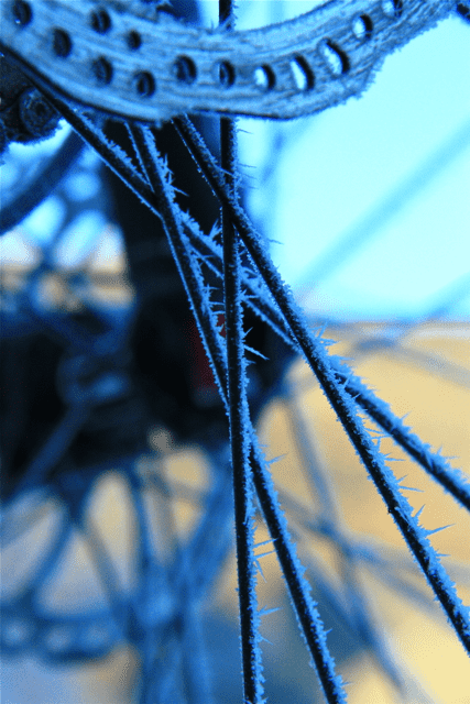 IMG_7908.png
