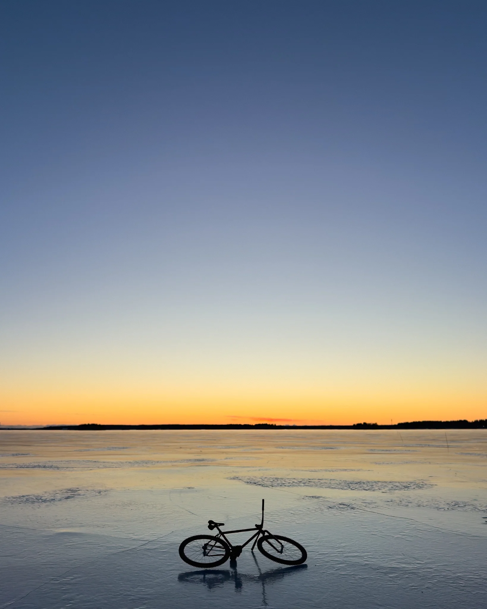 IMG_8104.webp