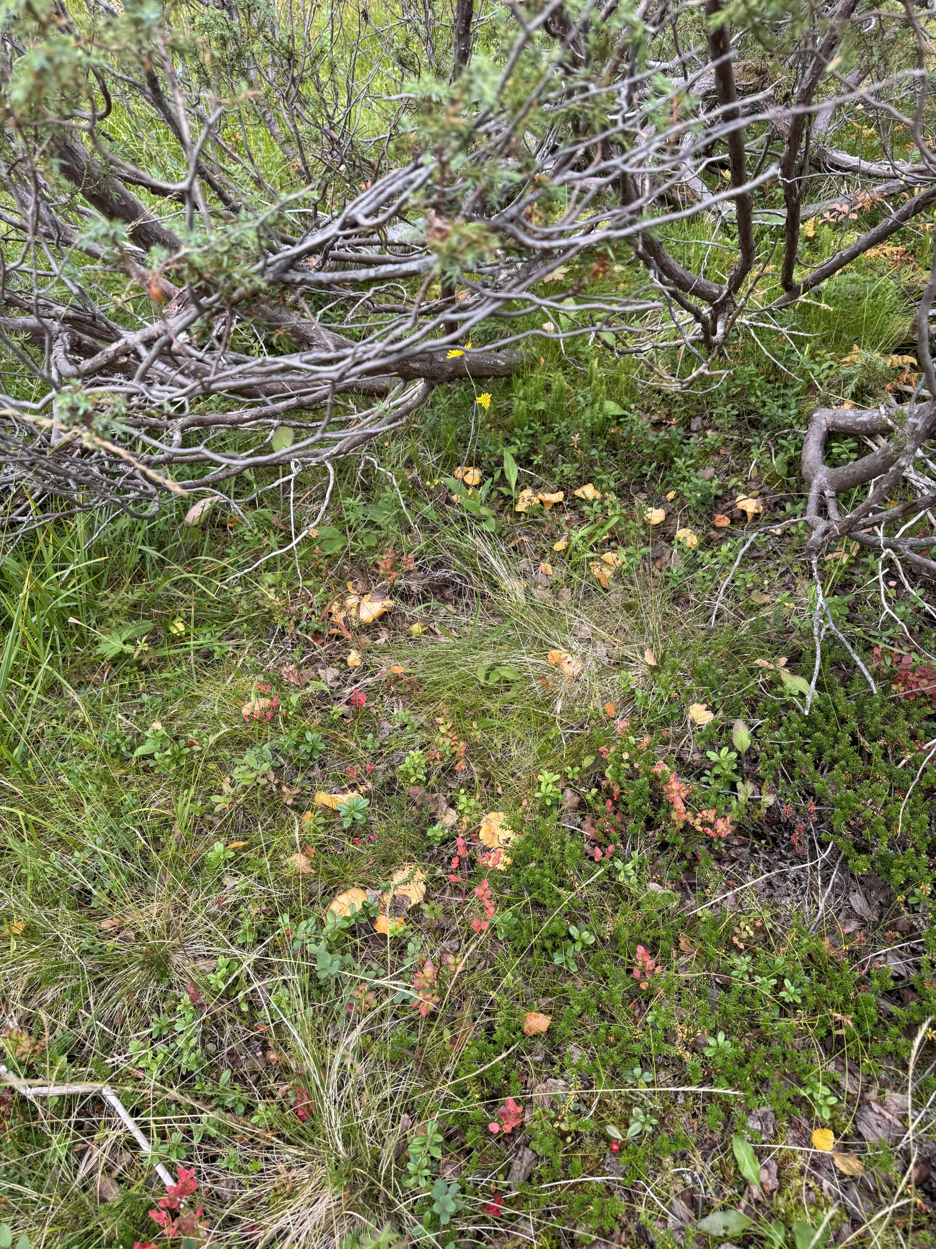 IMG_8284.webp
