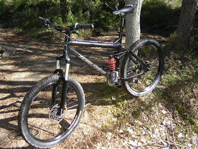 IMG_8290.jpeg