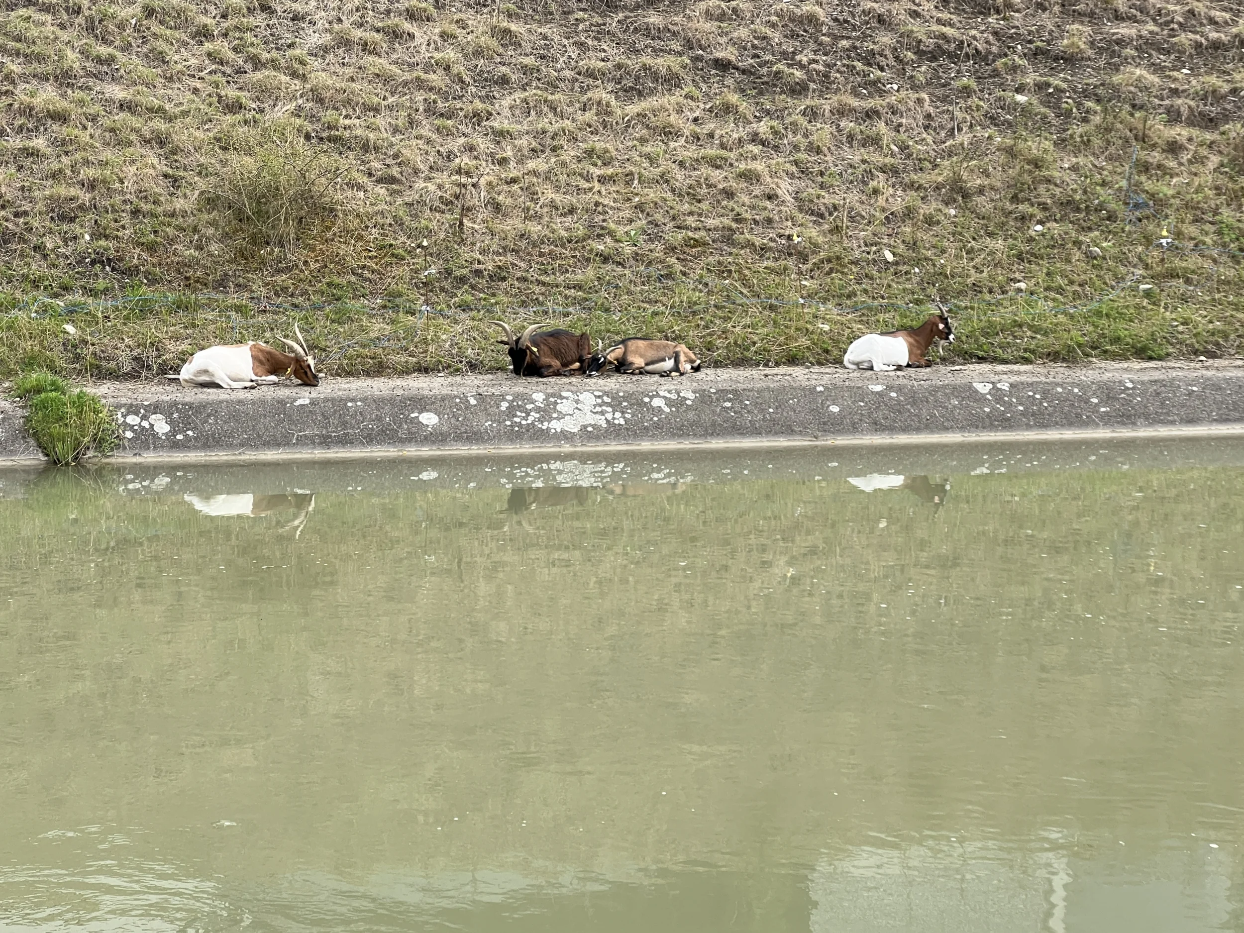 IMG_8456.webp