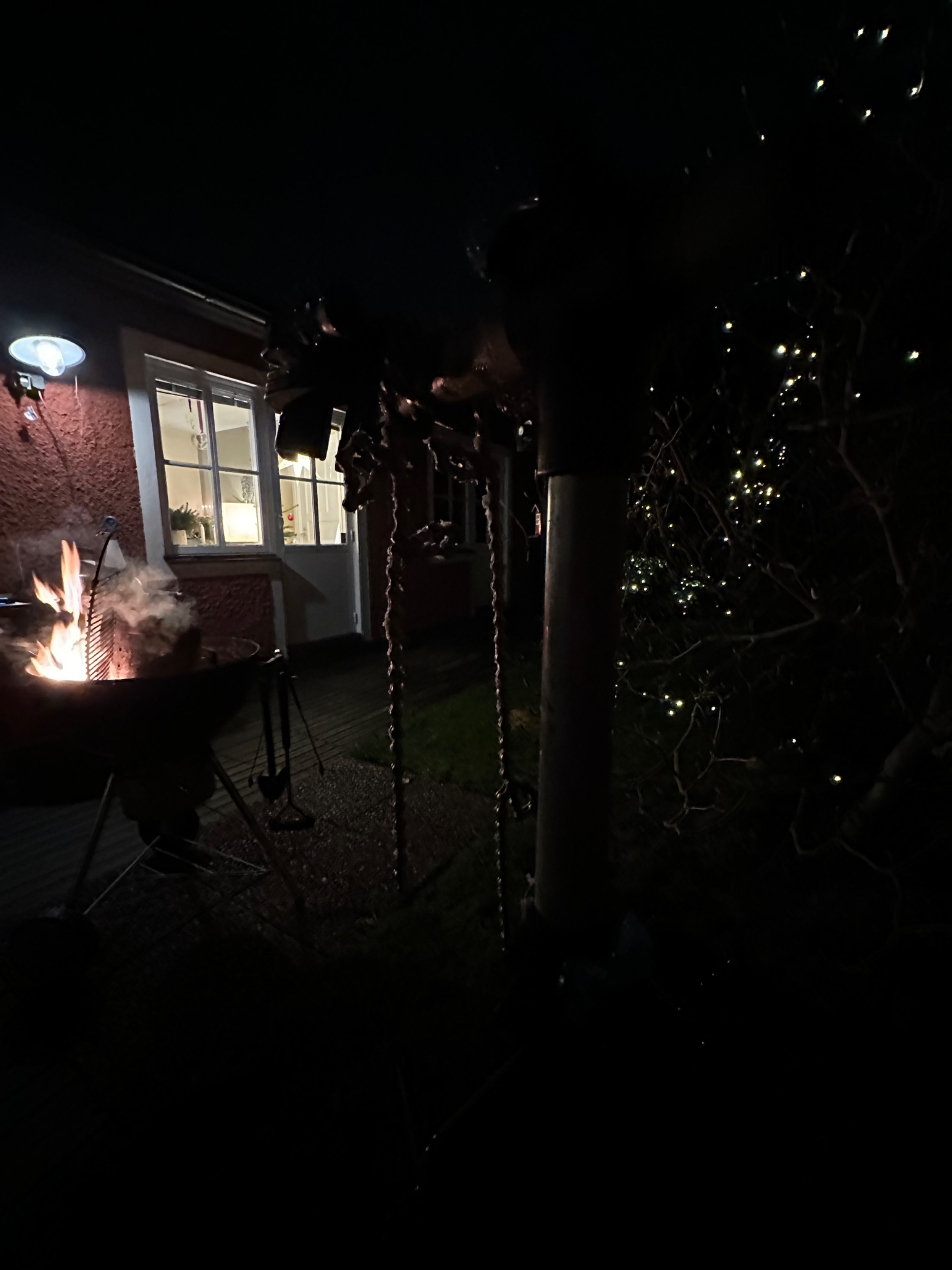 IMG_8515.jpeg
