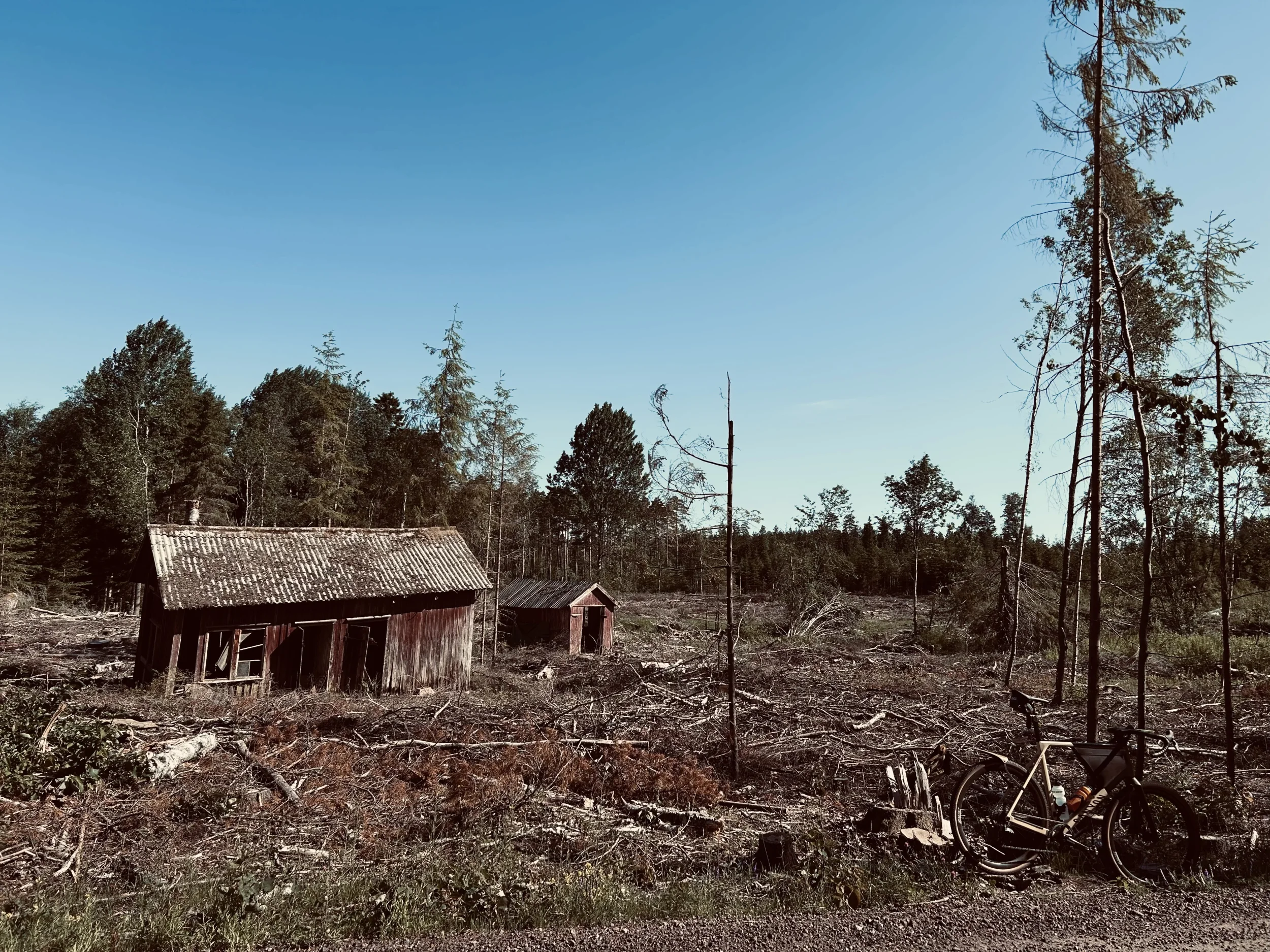 IMG_8976.webp