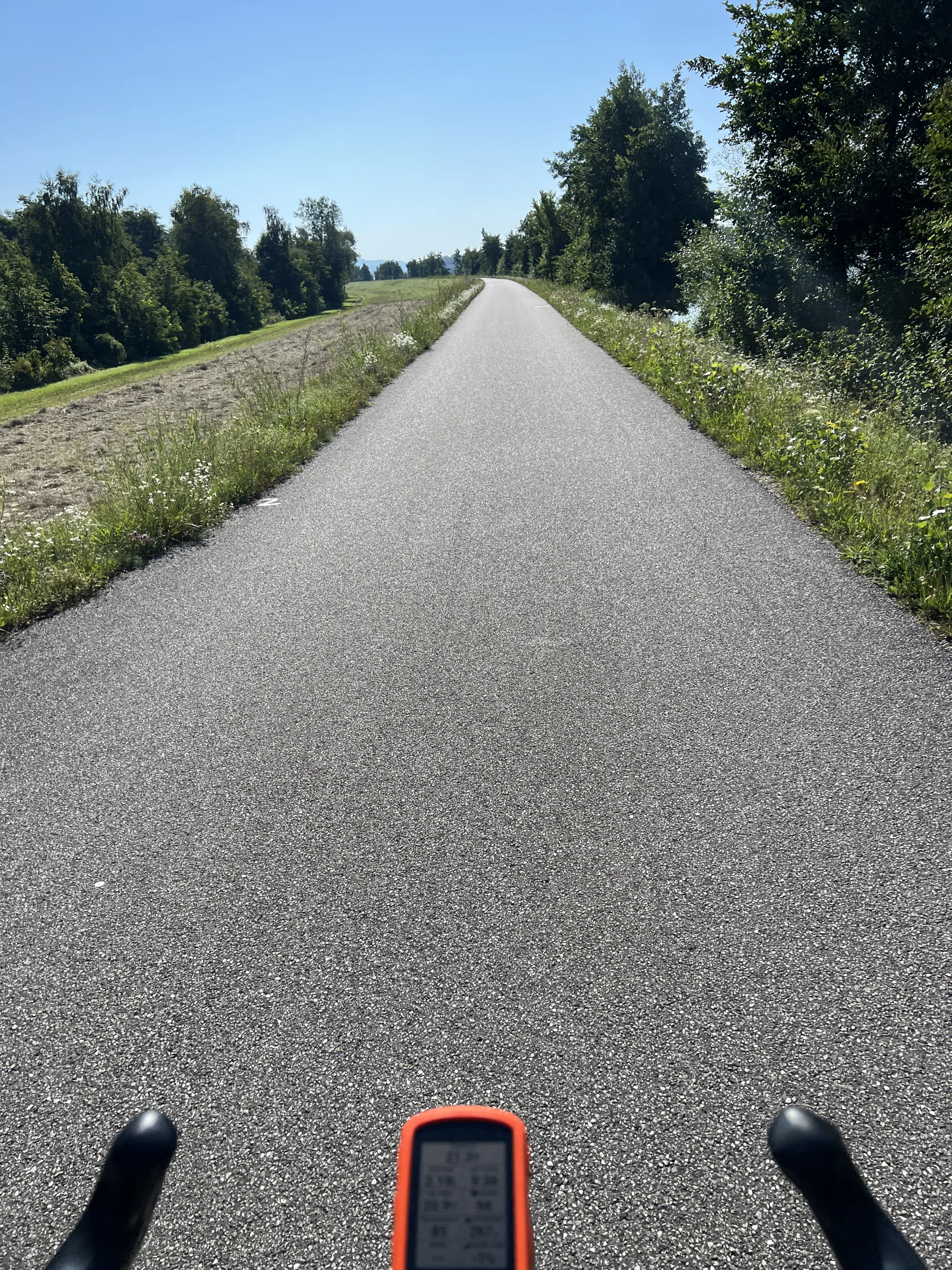 IMG_9137.webp
