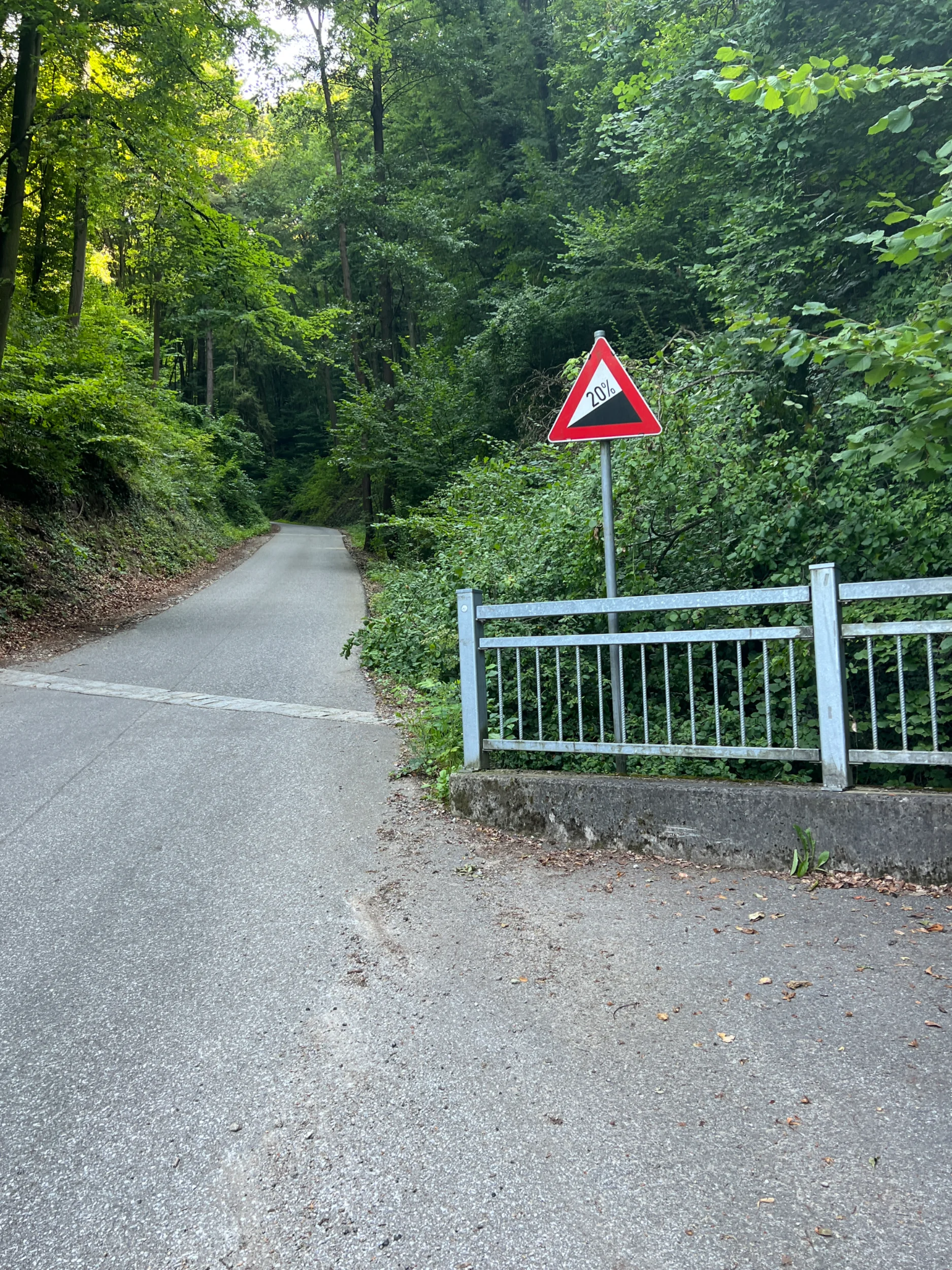 IMG_9240.webp