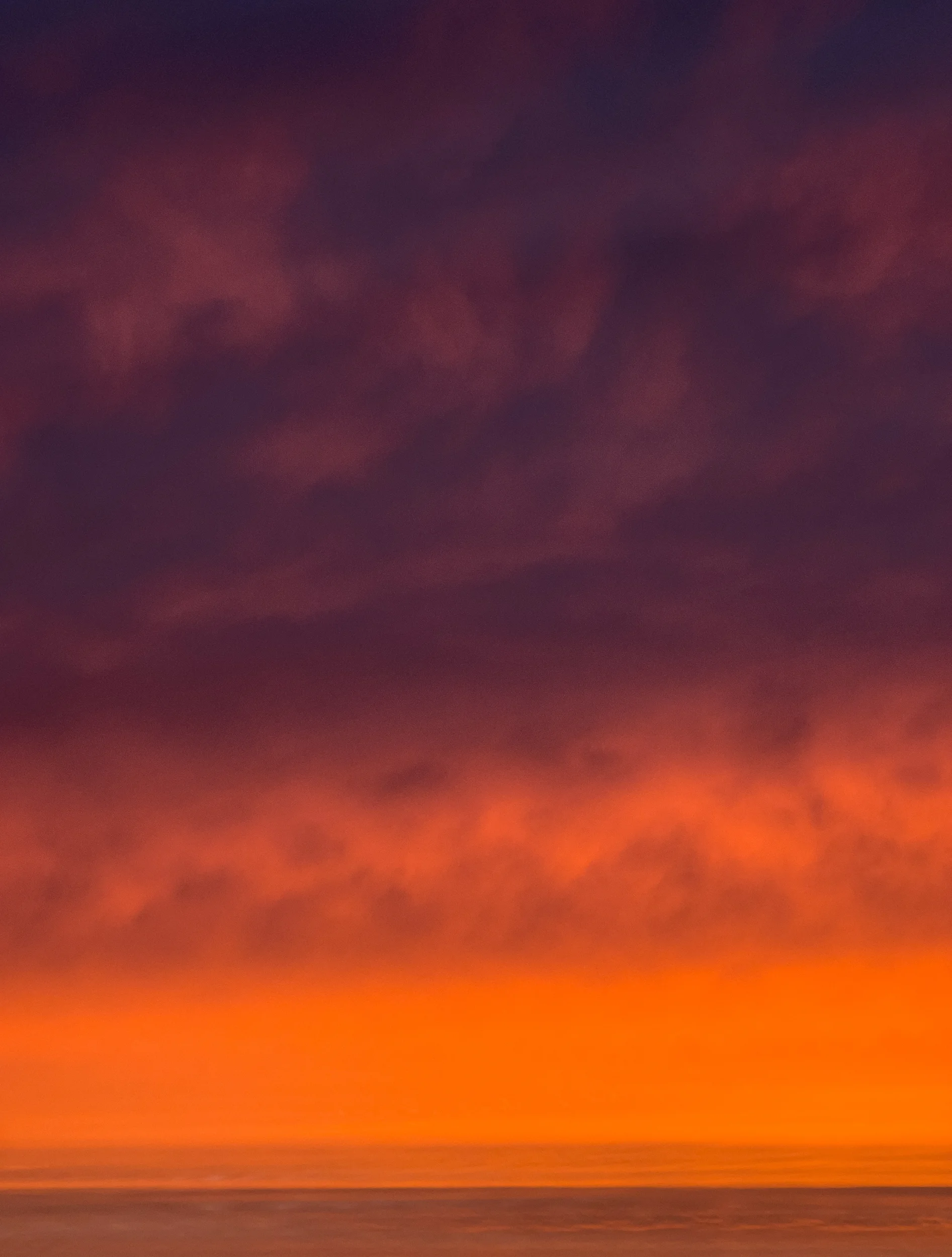 IMG_9555.webp
