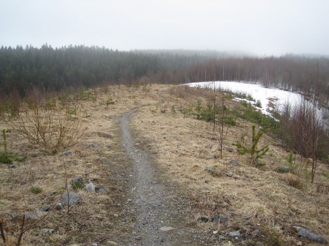 IMG_9605.jpg