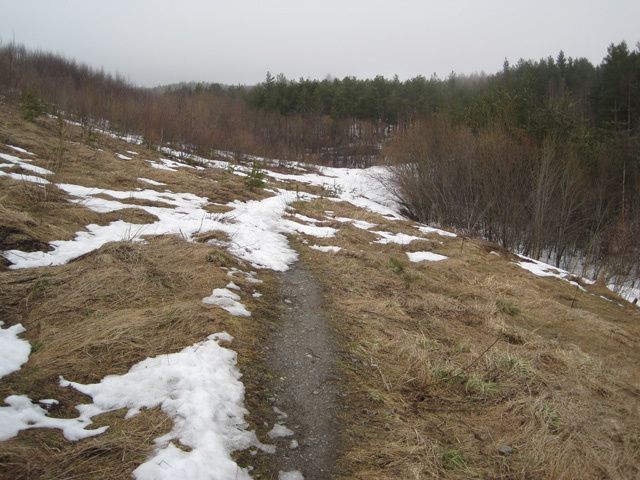 IMG_9608.jpg