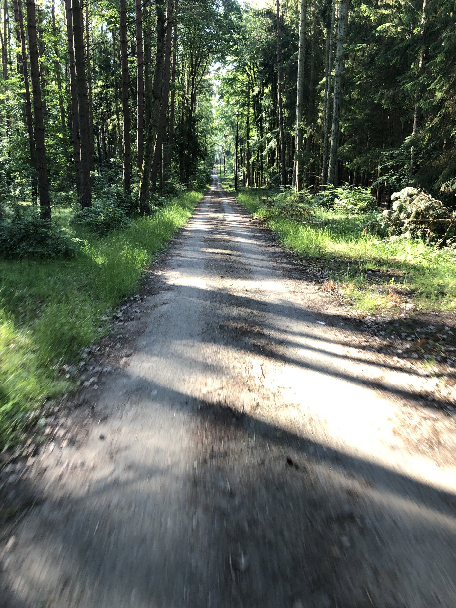 IMG_9872.JPG