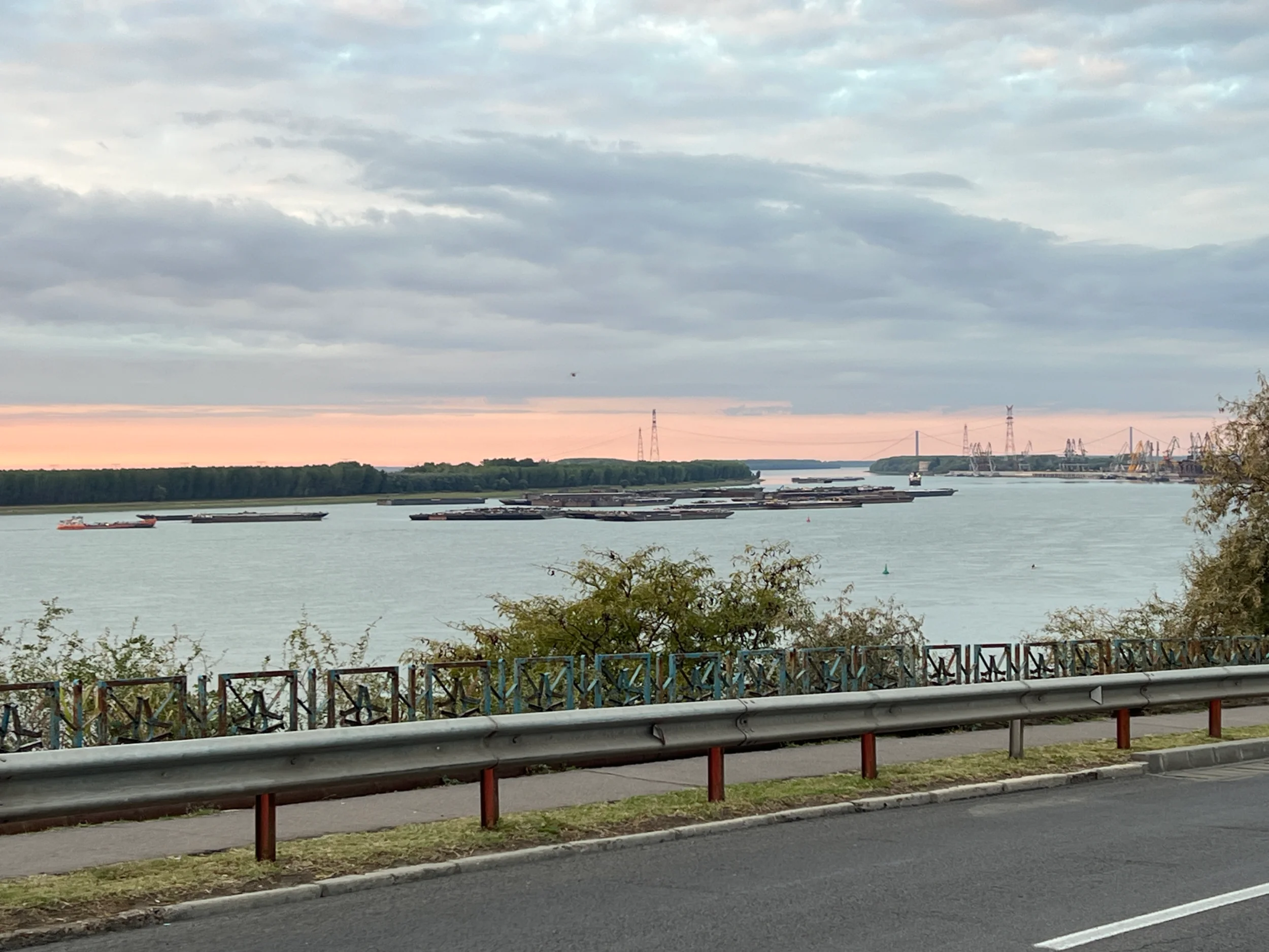 IMG_9931.webp