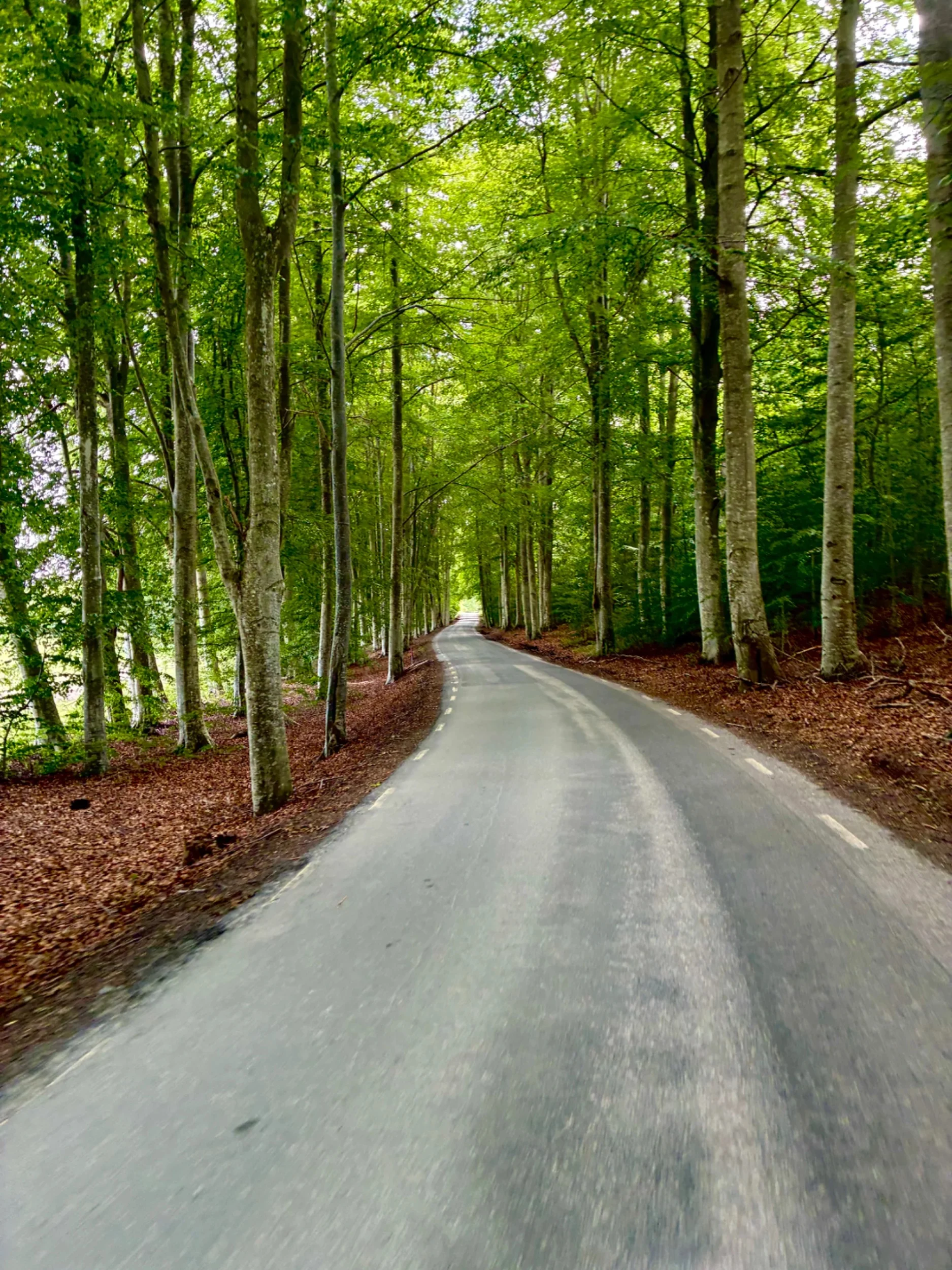 IMG_idag) (kopia).webp