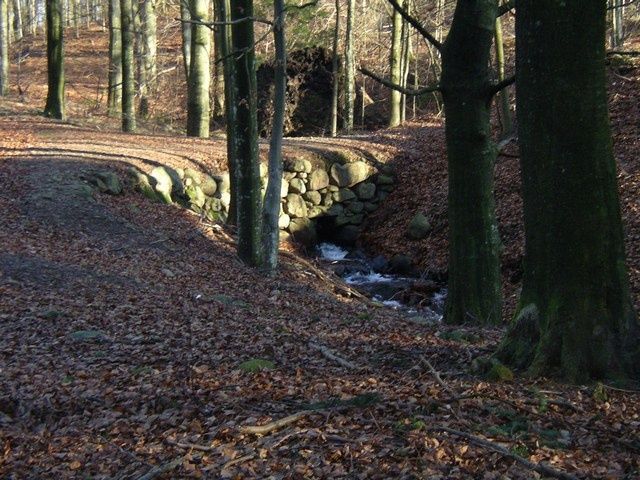 IMGP0133.jpg