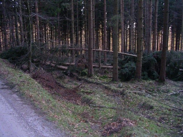 IMGP0140.jpg