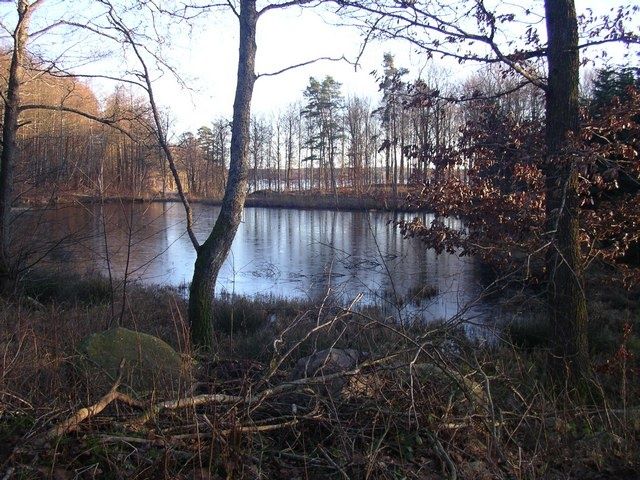 IMGP0142.jpg