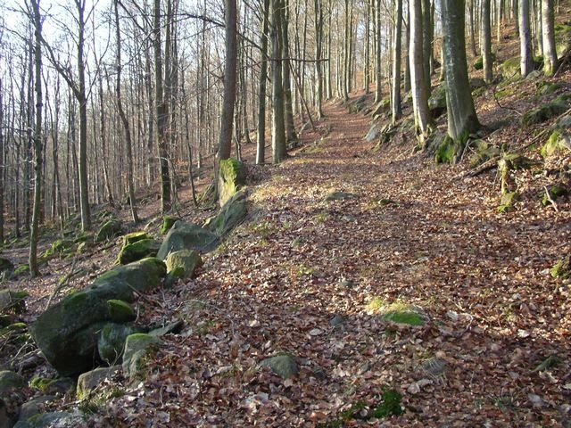 IMGP0144.jpg