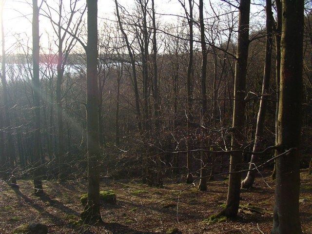 IMGP0145.jpg