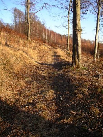 IMGP0146.jpg