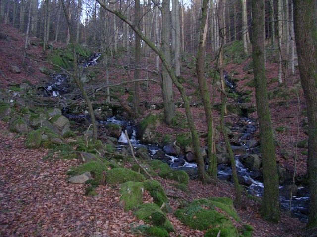 IMGP0150.jpg