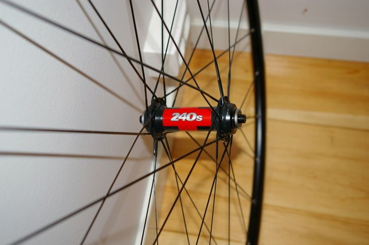 IMGP0288c.JPG ht=482