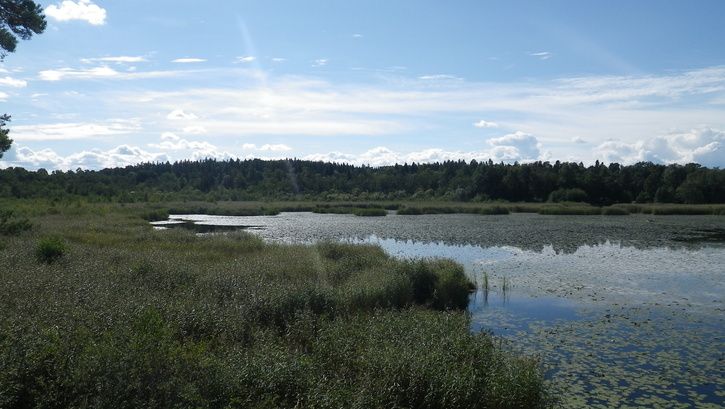 IMGP0293.JPG