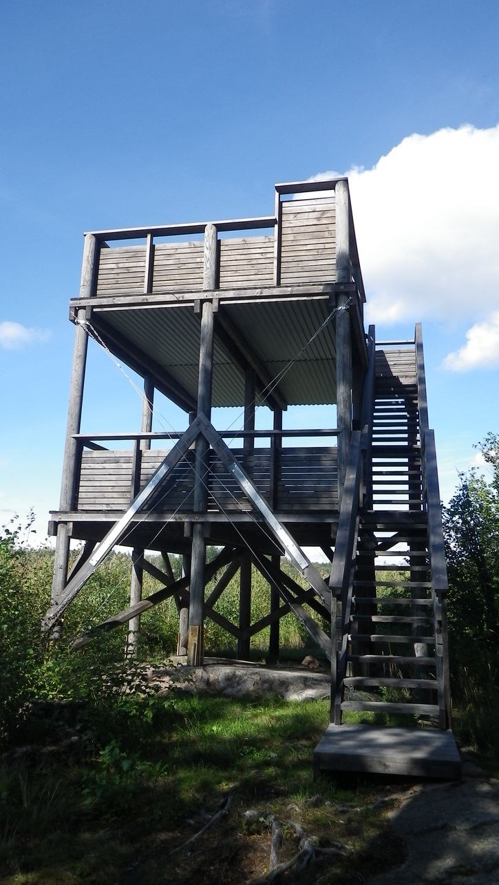 IMGP0294.JPG