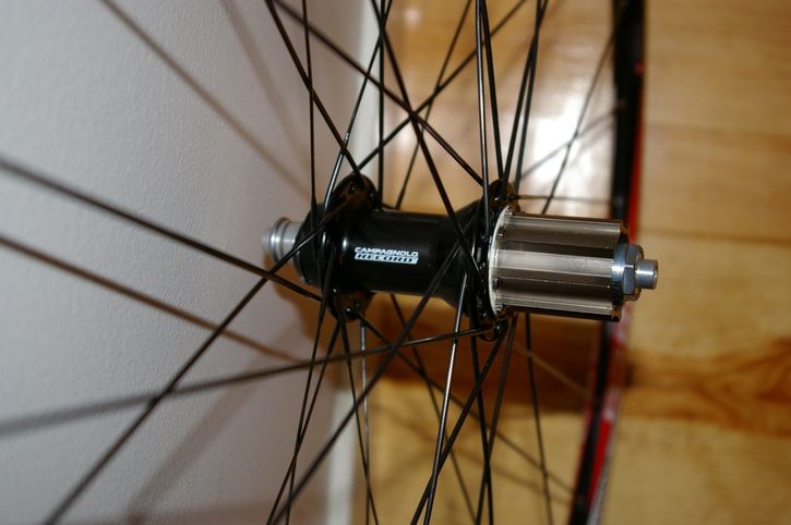 IMGP0294c.JPG ht=482