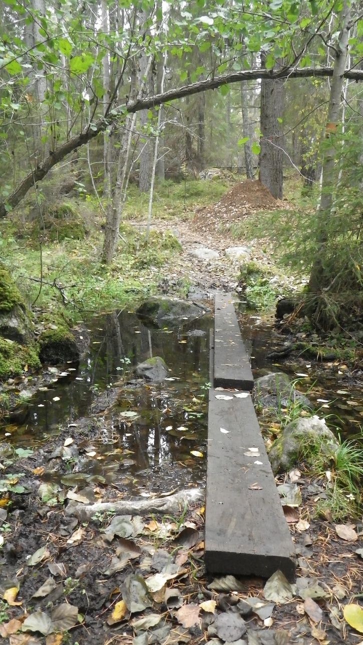 IMGP0321.JPG