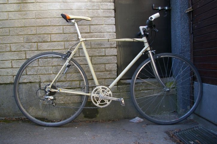 imgp1924c.JPG ht=482
