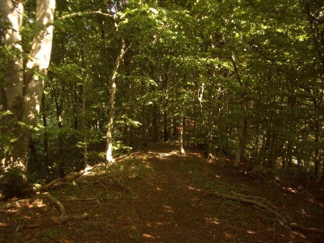 imgp2127_640.jpg ht=480