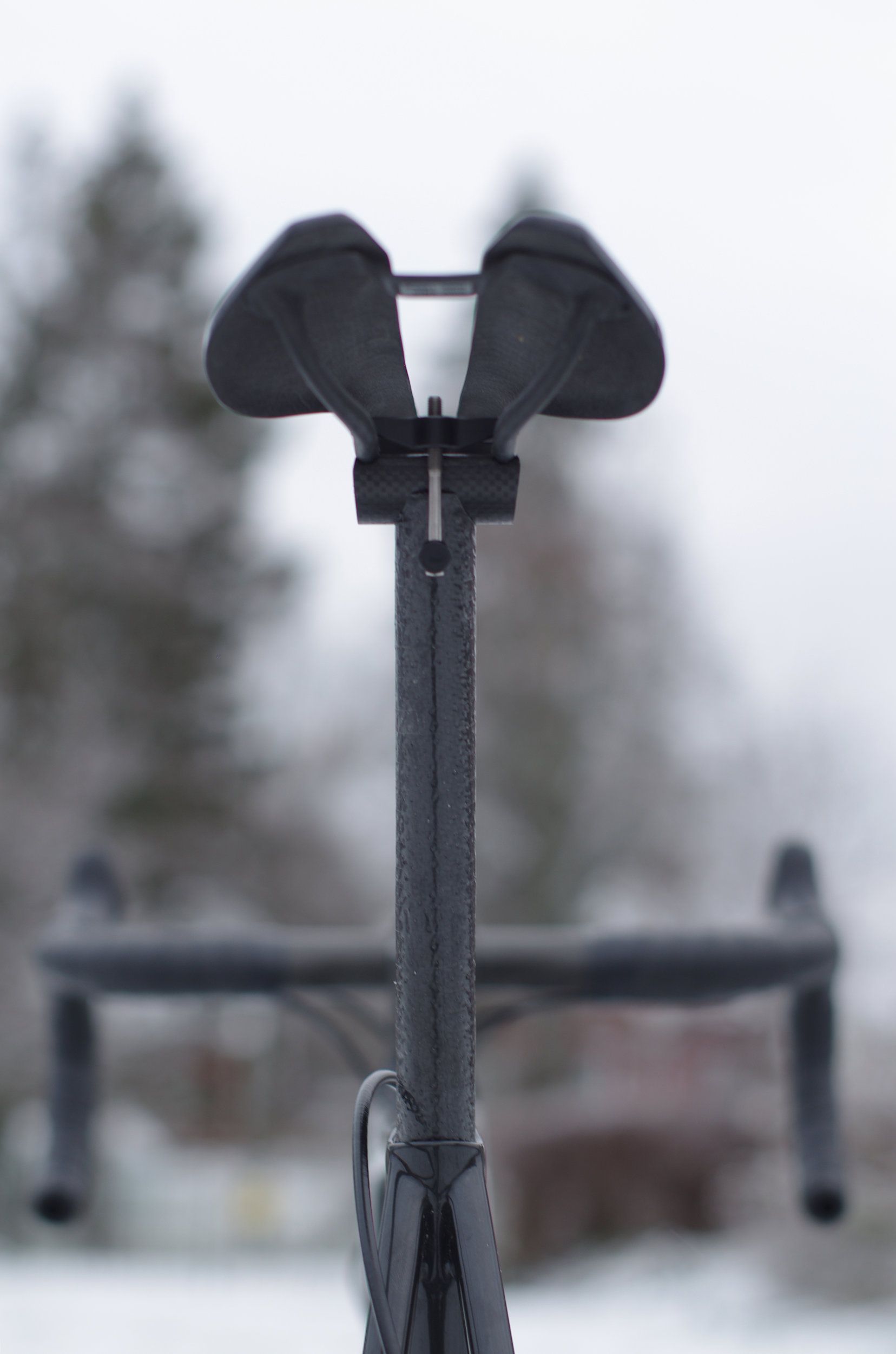 IMGP4433.JPG