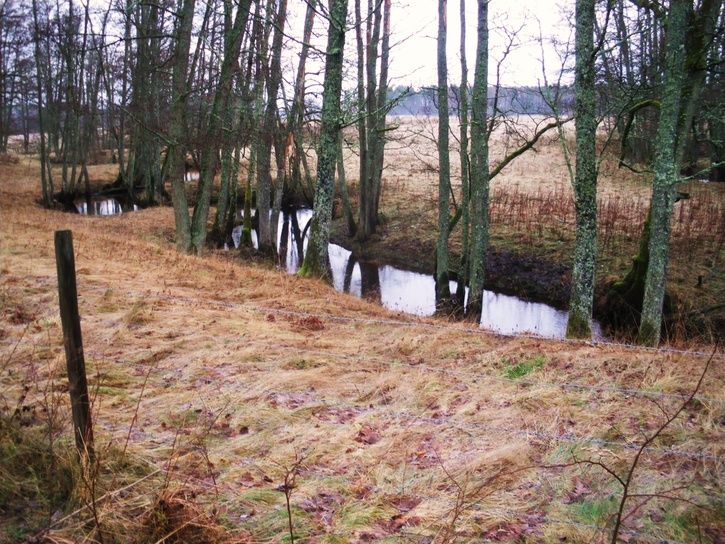IMGP5101.JPG