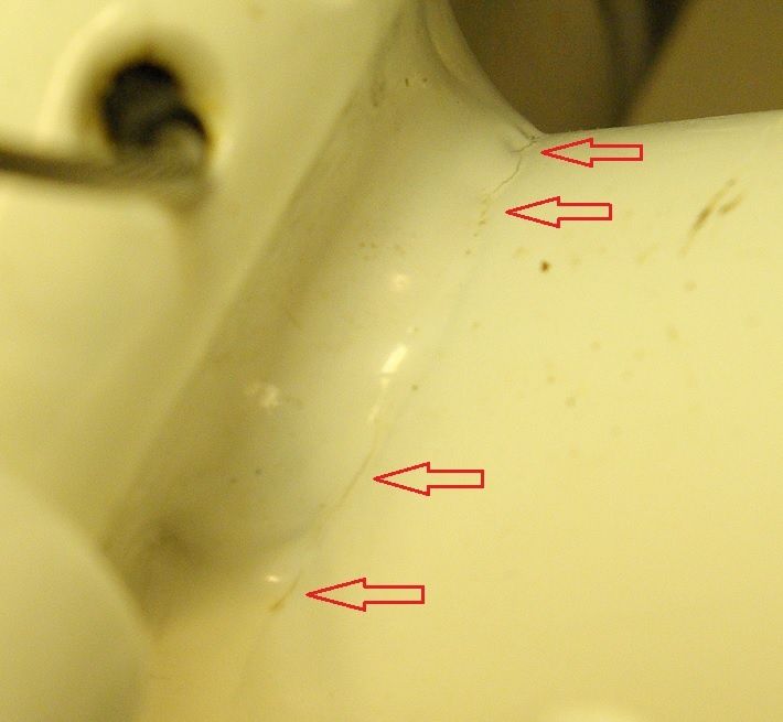 IMGP8742_50.jpg