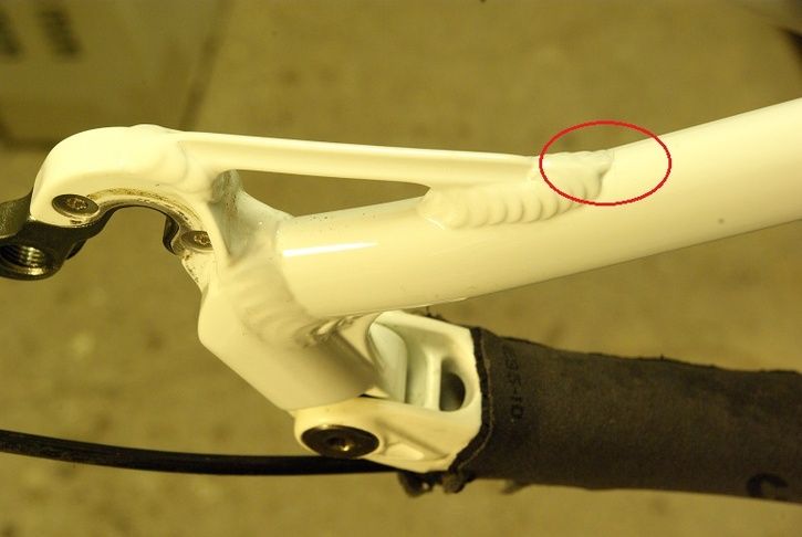 IMGP8766_20.jpg