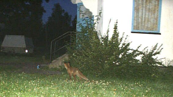 imp5_109.jpg ht=317
