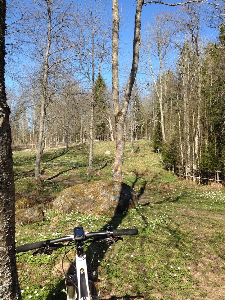 innanglundadepn3.jpg