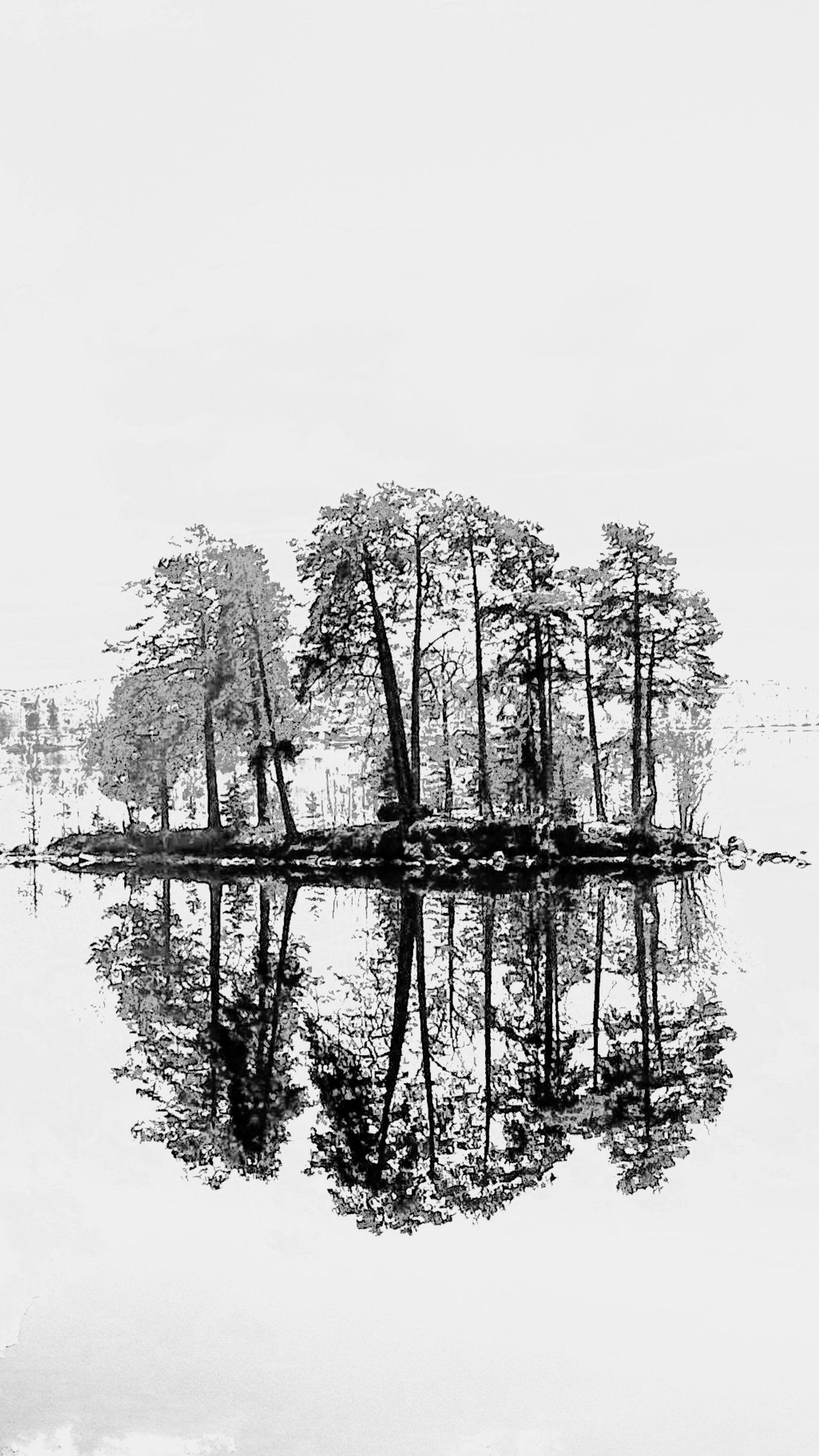 InShot_20240513_212721475~2.jpg