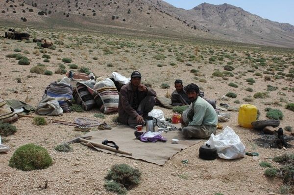 iran24.JPG ht=399