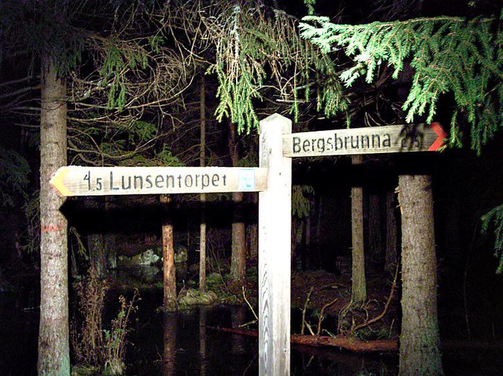 Januariluns_35.jpg ht=543