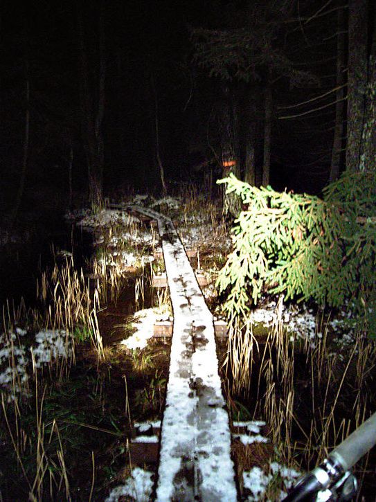 Januariluns_42.jpg ht=725