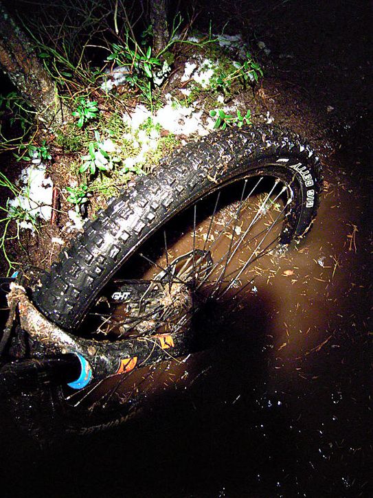 Januariluns_50.jpg ht=725