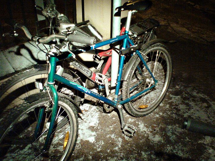 januarinÃsten_09.jpg ht=544
