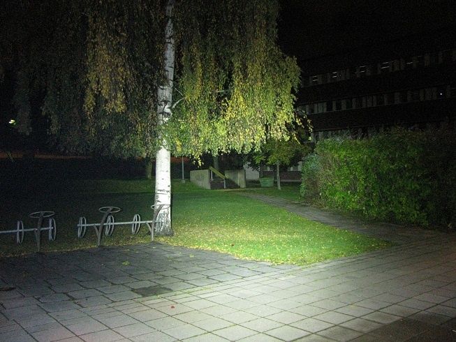 johnsson1.JPG