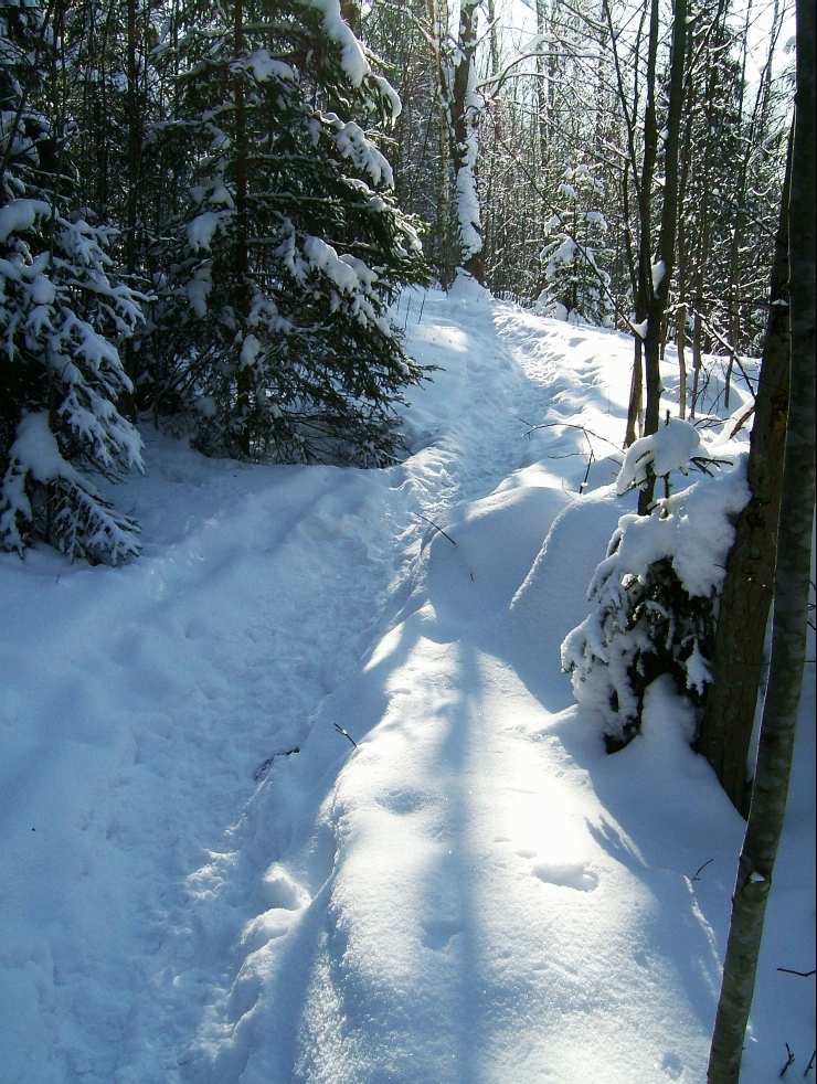 jr07.jpg