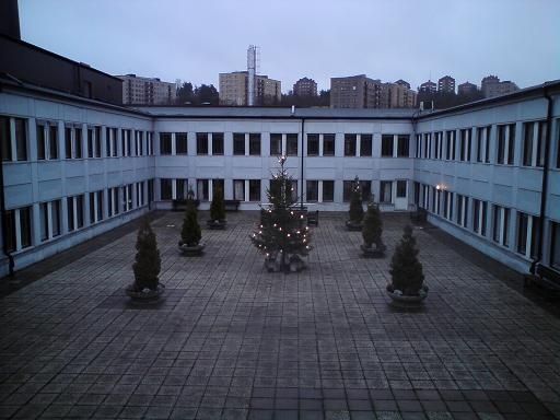 julgran.JPG ht=384