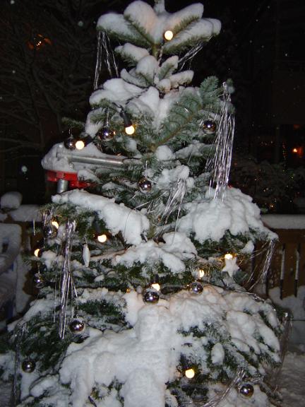 julgranen.jpg