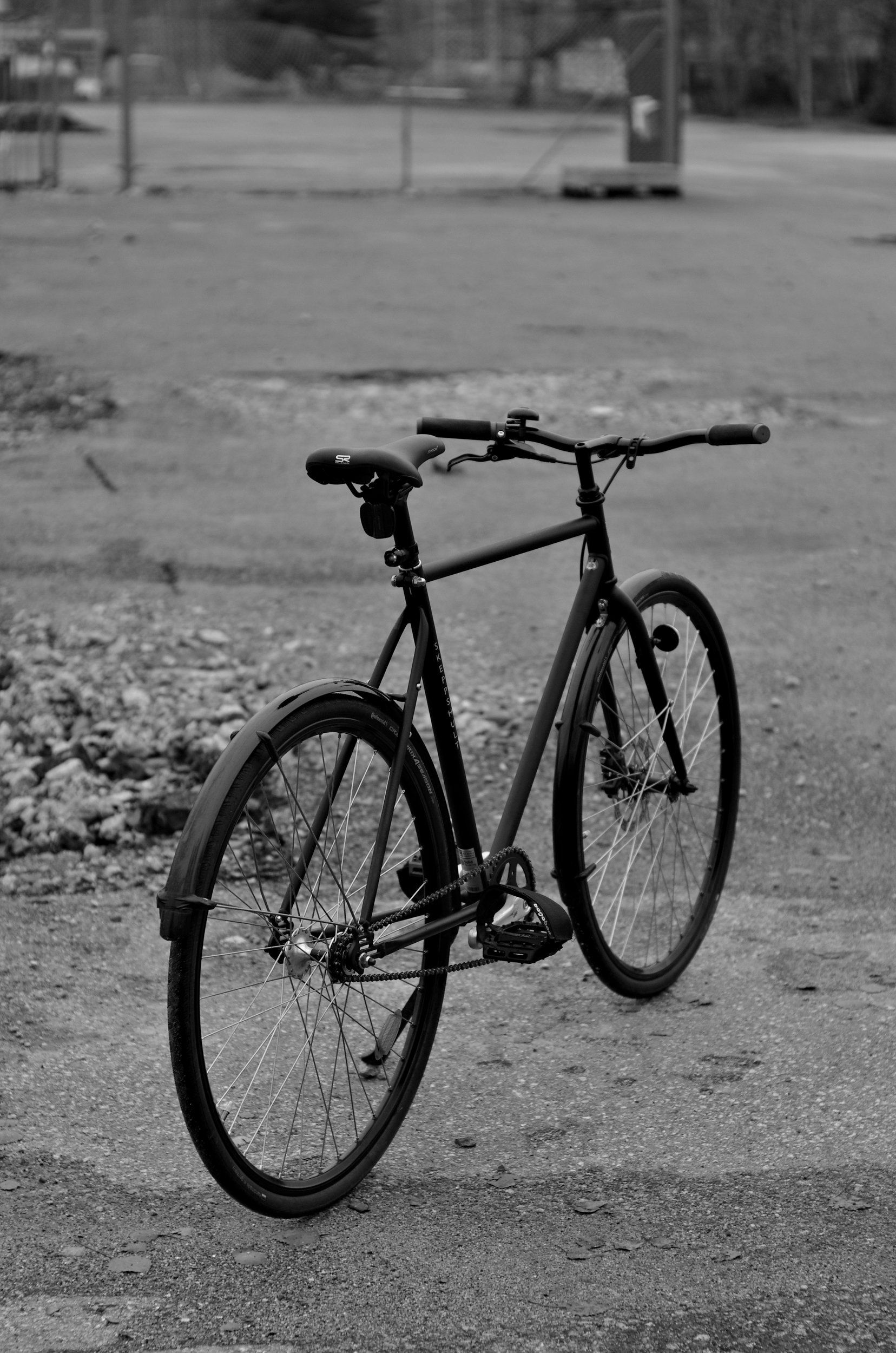 K5HI5873 grey sharpened.JPG