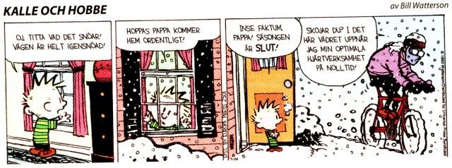 kallehobbe.jpg
