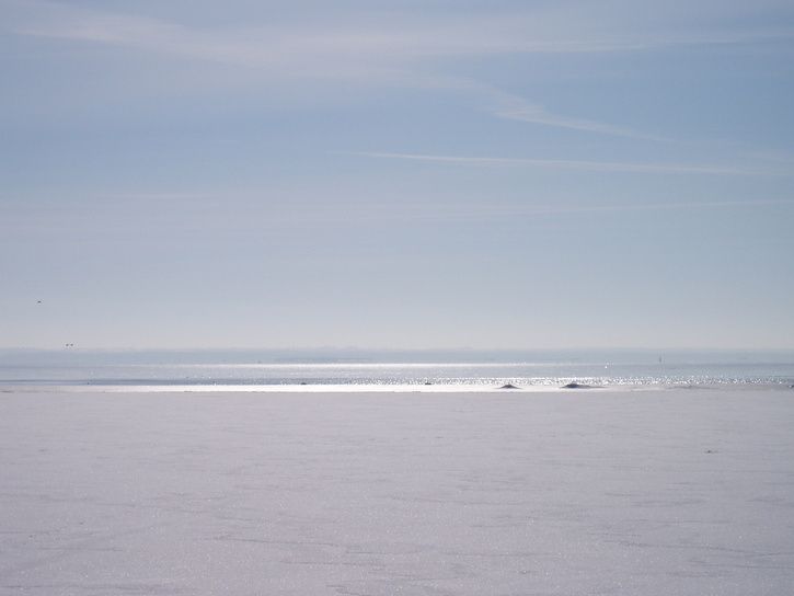 KalmarNature023.jpg ht=544